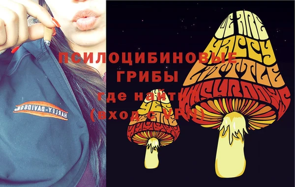 jwh Абинск
